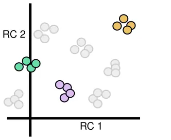 Participant clusters along two reliable components, from Figure 2c.