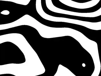 A frame of the black and white Zebra noise visual stimulus.